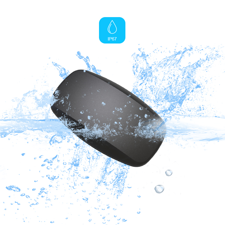 BLE5.0 ANT+ 심박수 모니터 가슴 스트랩 IP6 - Heart Rate Monitor Chest Strap Ant+ 리뷰 및 가격