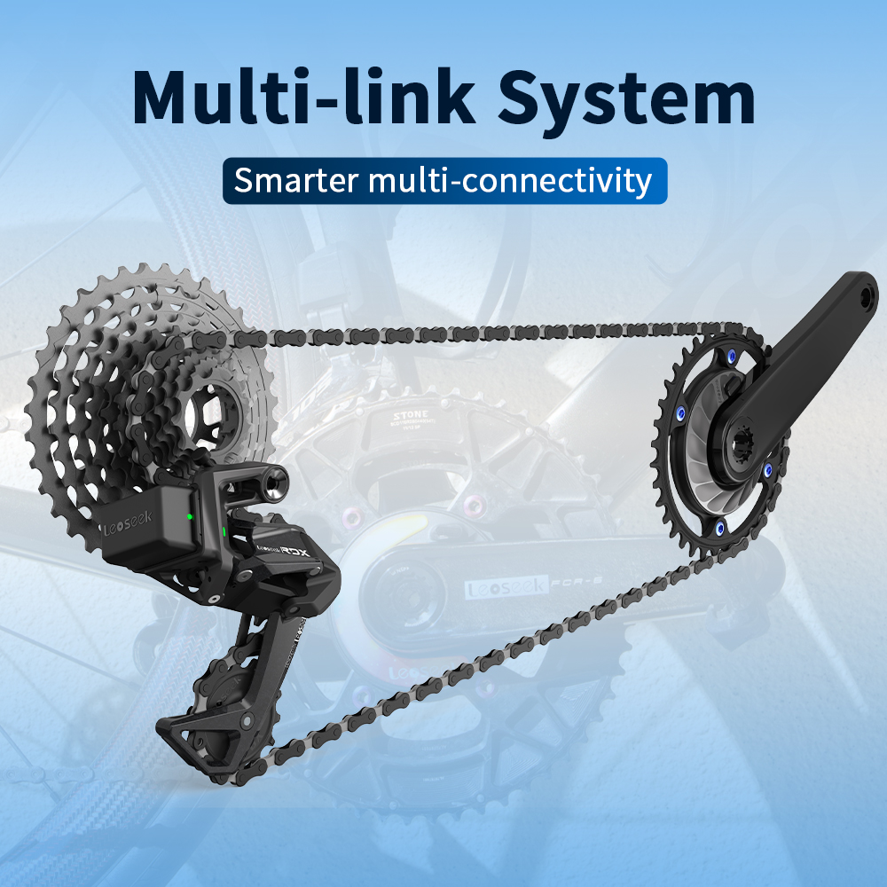 LEOSEEK 초경량 로드 MTB 자전거 스파이더 파워 - Spider Power Meter 110 Bcd 리뷰 및 가격