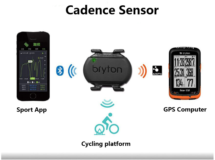 Bryton Rider 320 420 530 케이던스  - Cycling Cadence Sensor Bluetooth Ant 리뷰 및 가격
