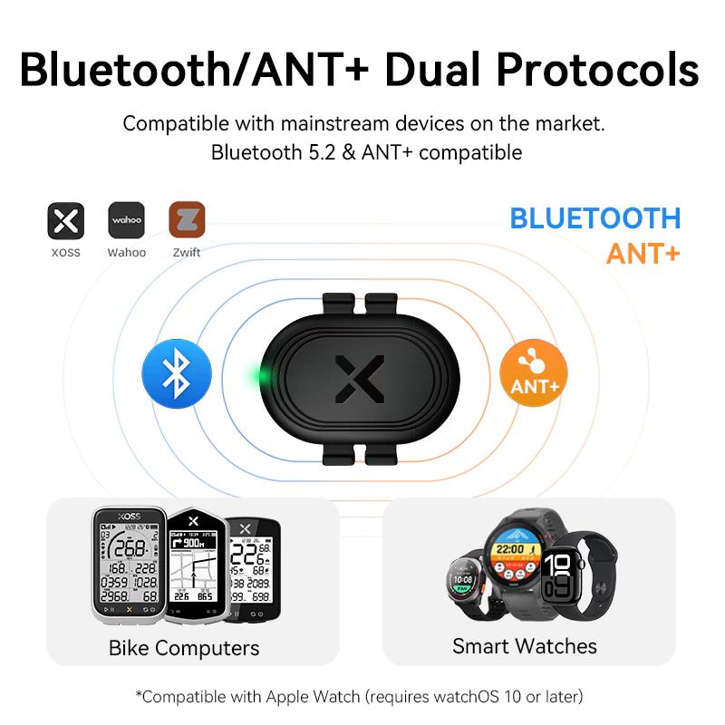XOSS ARENA 속도 케이던스 센서 사이클링 컴퓨터 - Cycling Cadence Sensor Bluetooth Ant 리뷰 및 가격